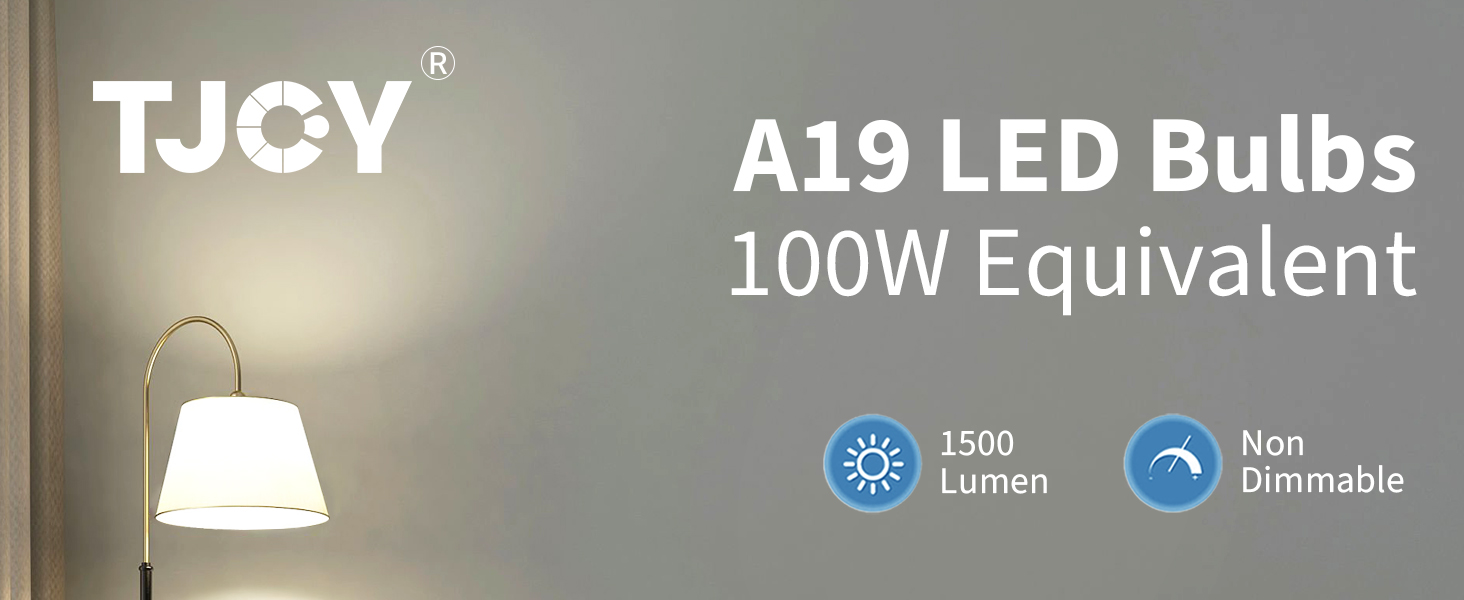 light bulbs 100 watt