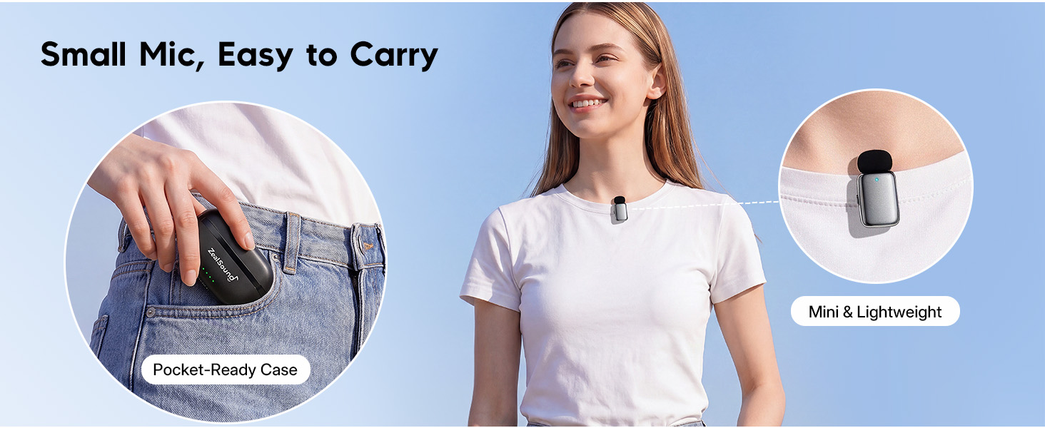Small Mic, Easy to Carry