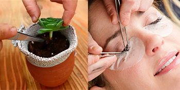 food tweezers tongs