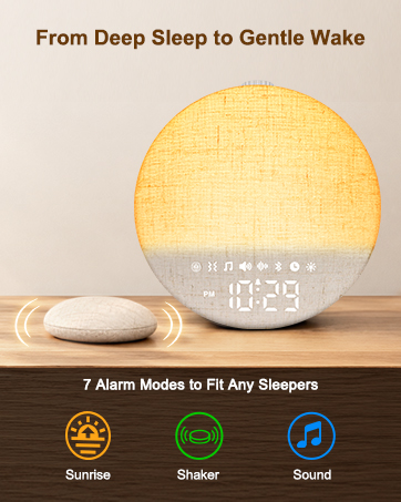https://m.media-amazon.com/images/S/aplus-media-library-service-media/46c7643b-0c45-4c7f-8ae4-3c81f708ea38.__CR0,0,362,453_PT0_SX362_V1___.jpg