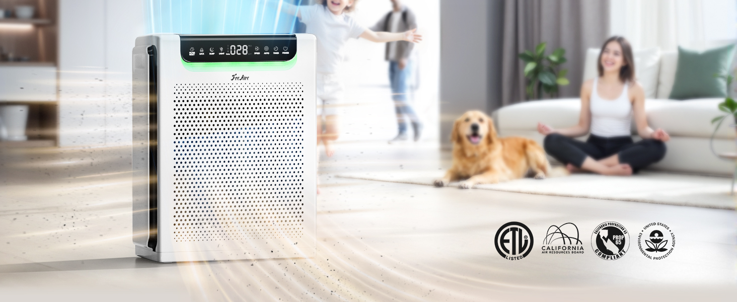 air purifier