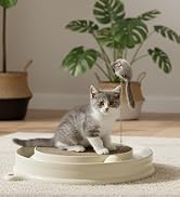 AUOON Cat Scratcher Toy