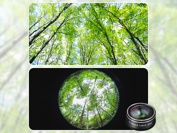 camera lens