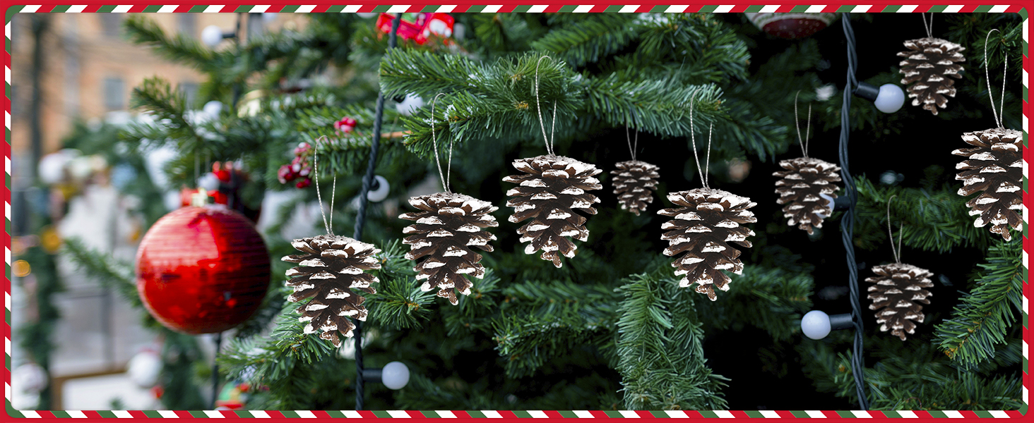 pinecones