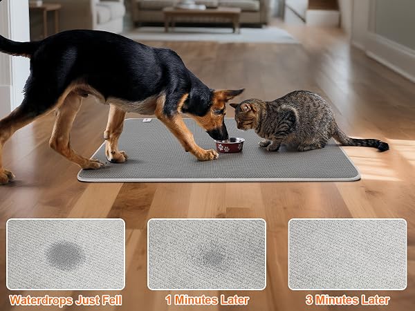 Pet Feeding Mat