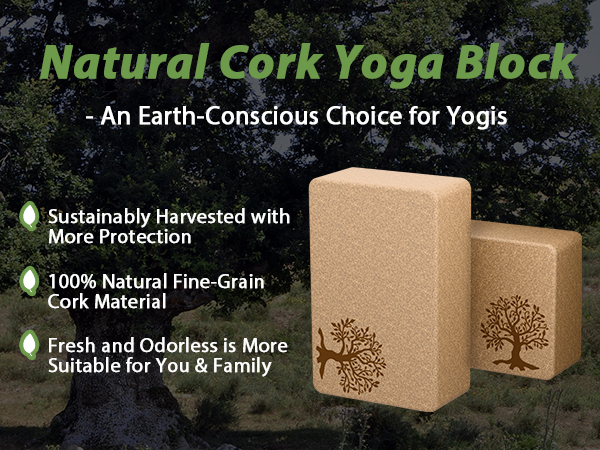 yoga blocks cork