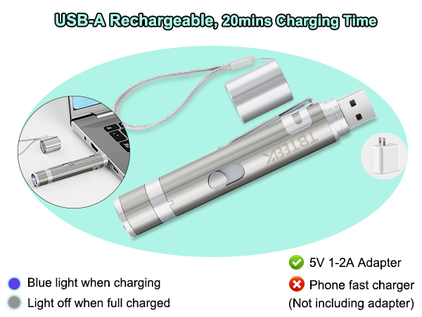 rechargeable cat toy