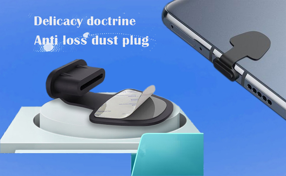 USB C Dust Plug