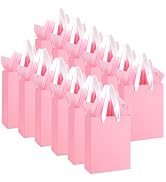 Ethhqu 12-Pack Small Pink Gift Bags with Handles - Includes 24 Tissue Papers, 6.3x4.7x2.4 Inches ...