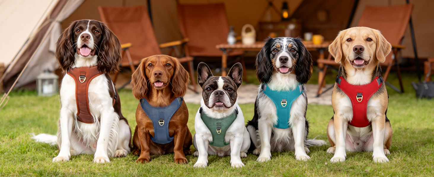 dog harness medium sized dog