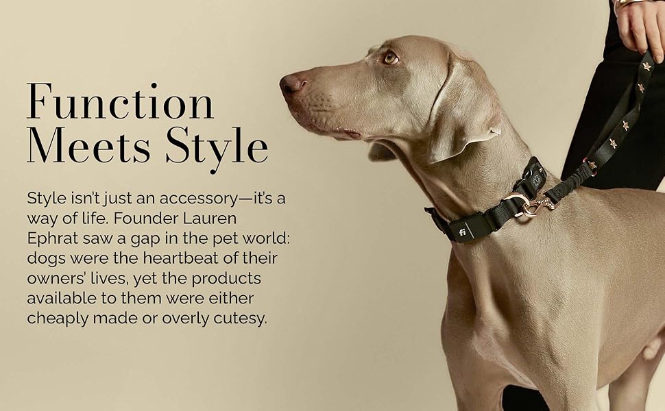 adjustable dogs collar small dog accessories tiny puppy leather pet neck strap cute pink xxsmall xs