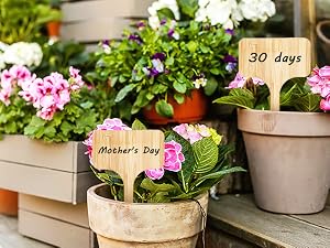 Bamboo Plant Labels