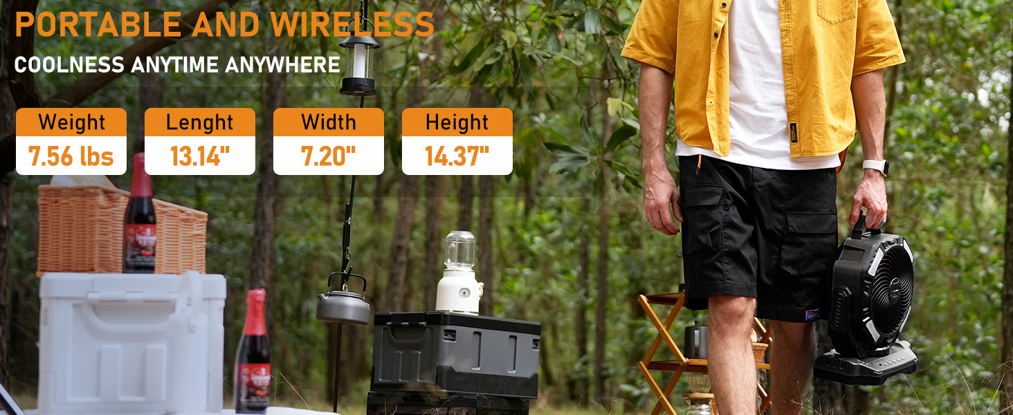 Portable and wireless