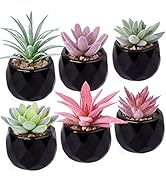 Hawesome Artificial Mini Succulents 6 Packs Faux Succulents in Ceramic Pots Fake Greenery Plant f...