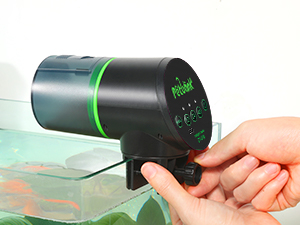 fish food vacation feeder