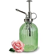 VKSG Glass Plant Mister Spray Bottle, 320ML Vintage Plant Spritzer with Top Pump Watering Can for...
