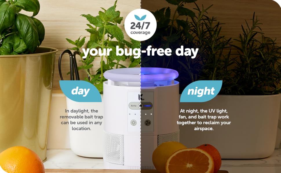 your bug free day