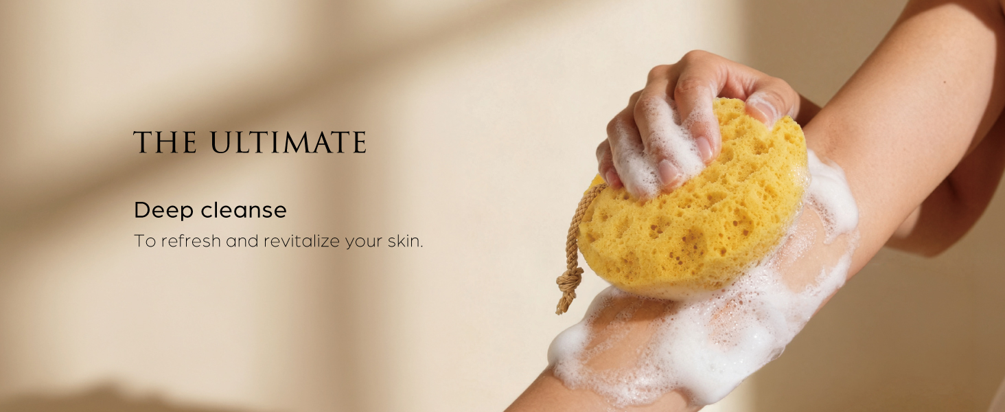Exfoliating sponge