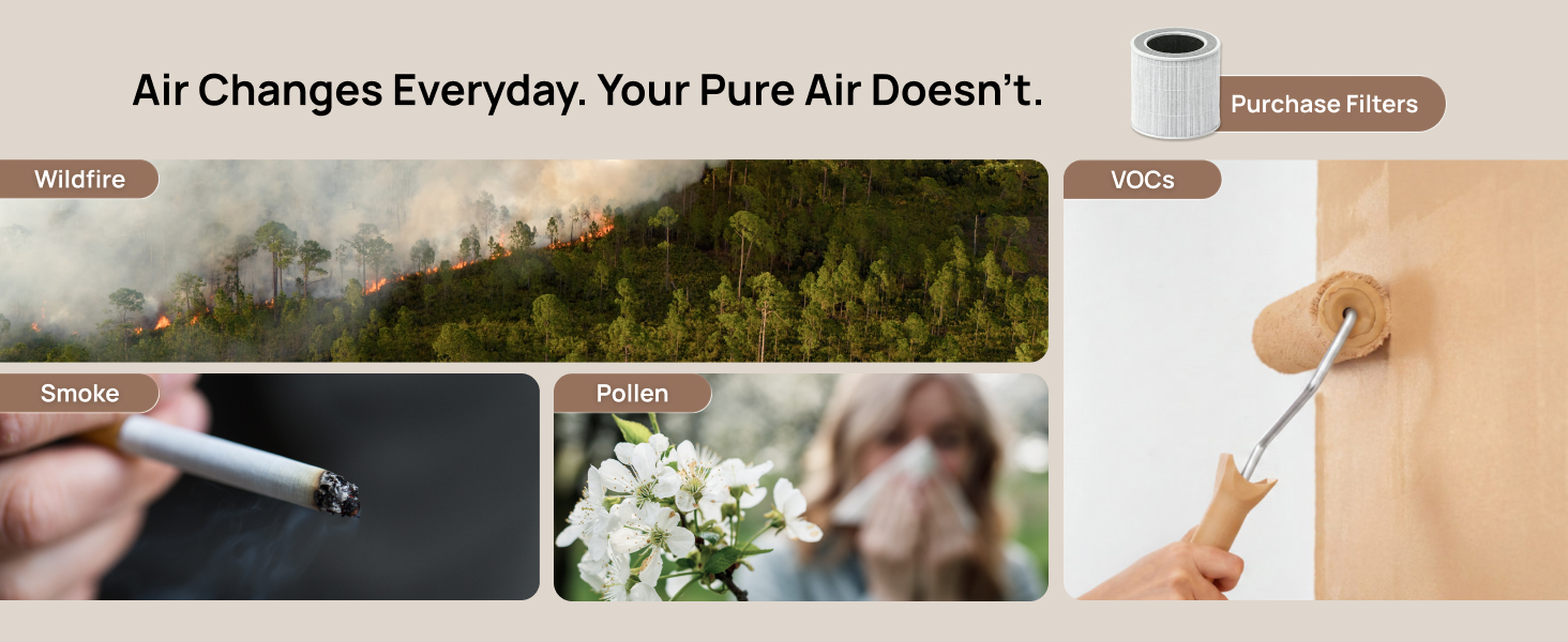 Air Purifier