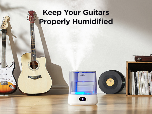 Guitar humidification