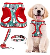 PUPTECK Adjustable Dog Harness Collar and Leash Set Step in No Pull Pet Harness for Small Medium ...