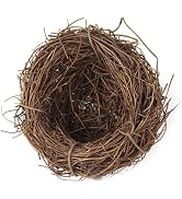 Jowxsx Easter Bird Nest Anti-Scratch Decorative Lightweight Egg Decoration Prop Easter Bird Nest ...