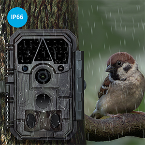 P60 deer camera ip66 waterproof