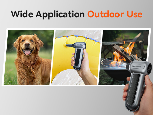 Text reads 'Wide Application Outdoor Use'. Series of product images showing a handheld device being used with dogs, demonstrating pet grooming functionality across different breeds and settings.