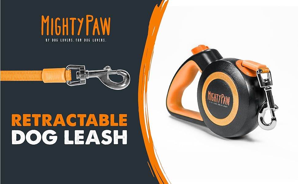 Leash Dog