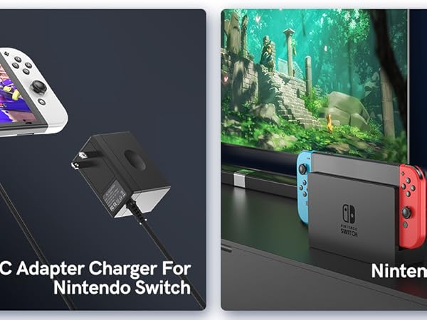 Nintendo Switch charger