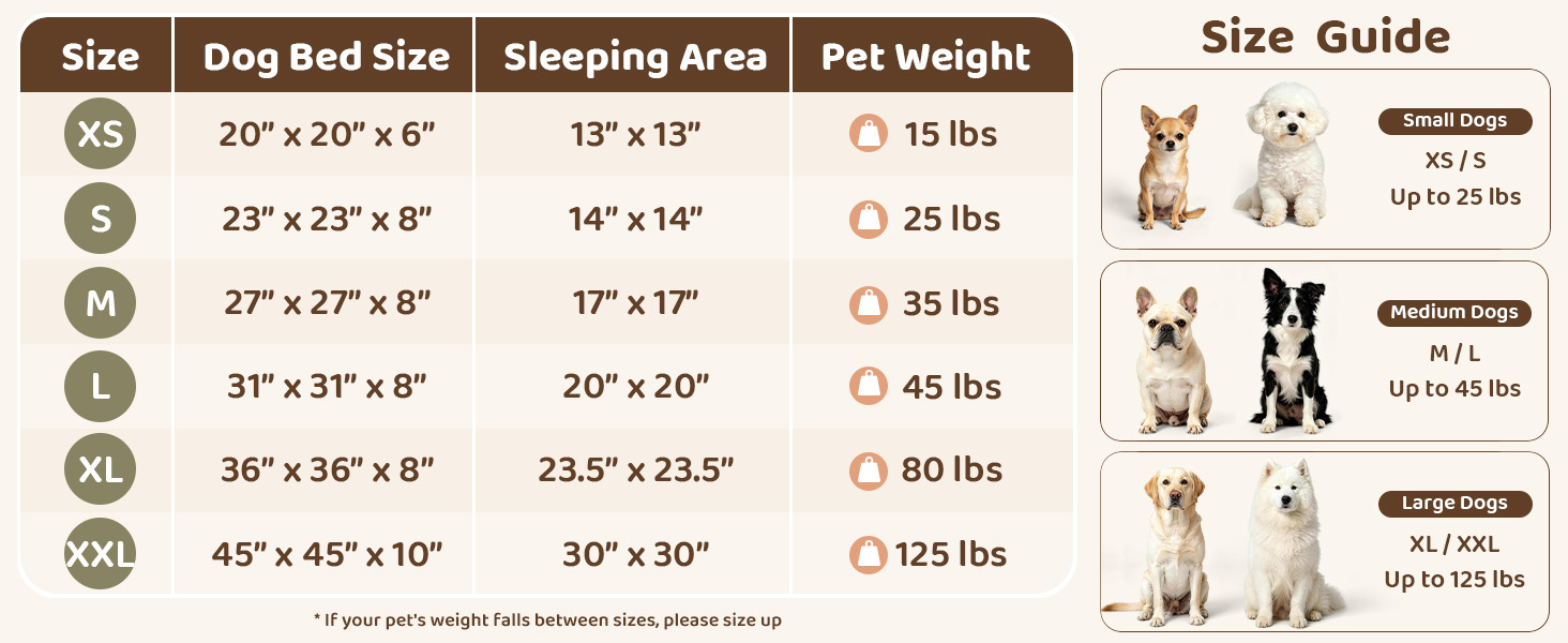 size reference