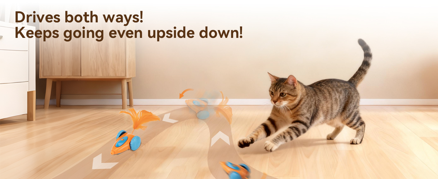 Interactive cat toy, smart cat toy, electric cat toy, automatic teaser, motion sensor