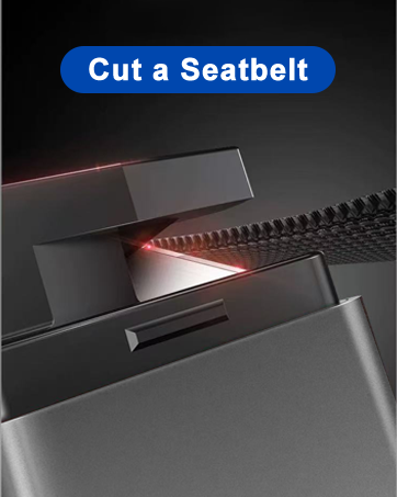 Cut a Seatbelt