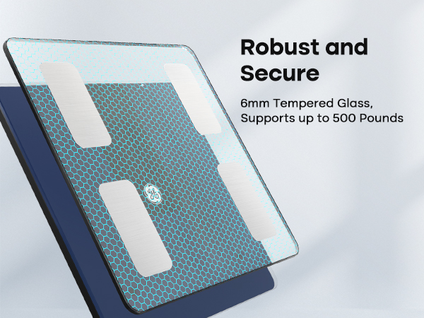 scale with bmi, body fat, muscle mass