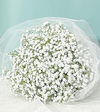https://m.media-amazon.com/images/S/aplus-media-library-service-media/8cf65370-cb27-4da9-8d5a-8c4a487c0ce4.__CR70,0,1333,1500_PT0_SX200_V1___.jpg