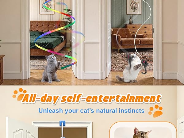 hanging cat toy