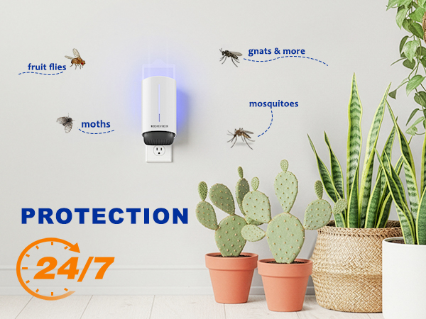 moths trap