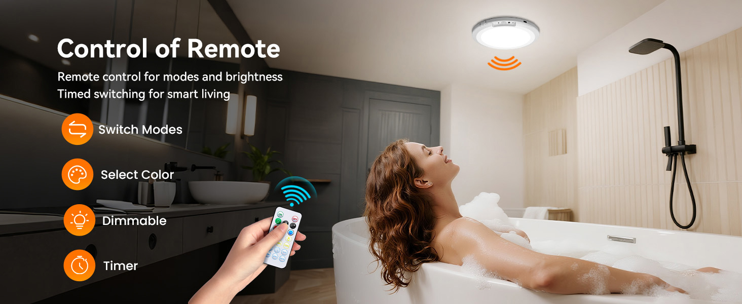 Motion Sensor Ceiling Light