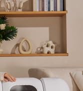 Cat Litter Box Self-Cleaning