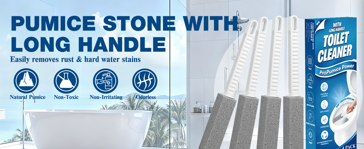pumice stone toilet bowl cleaner