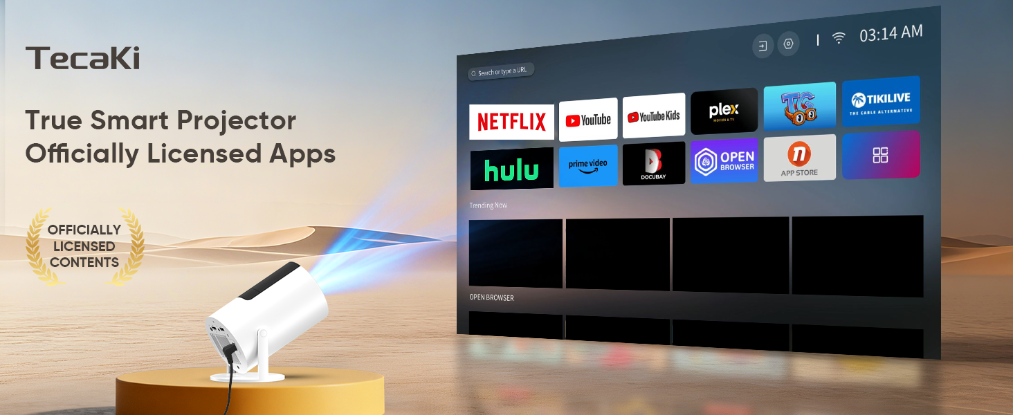 Netflix projector