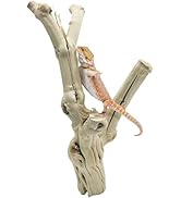 Apatal Reptile Branches for Climbing Natural Snake Climb Branch Extra Large Wood Forest Tree Trun...