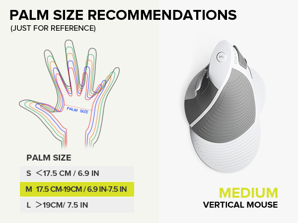 DELUX Wireless Ergonomic Vertical Mouse