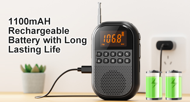 1100mAh rechargeable battery