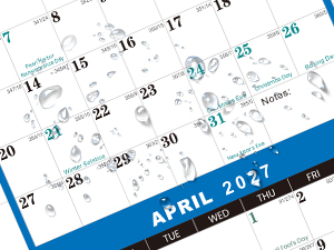 Academic Wall Calendar