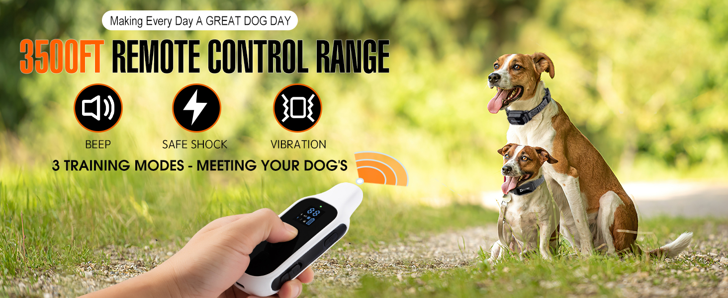 dog training collar with remote
