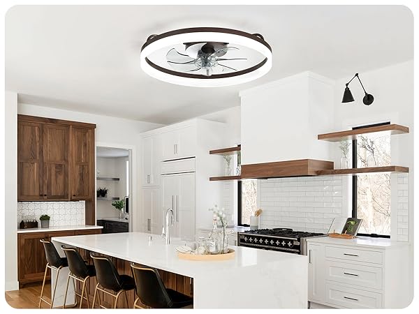 ceiling fan