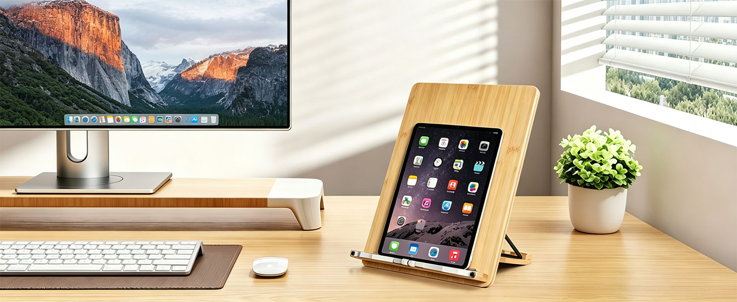 document stand