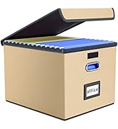 Huolewa New Collapsible File Storage Organizer Box, Decorative Linen Office Document Storage Bins...