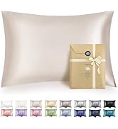 Bedsure Satin Pillowcase with Zipper, Similar to Silk Pillow Cases 2 Pack, Beige Standard Size Sa...